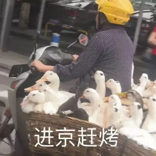  985高校扎堆开吐槽大会我校男女七比一,一对情侣,三对...