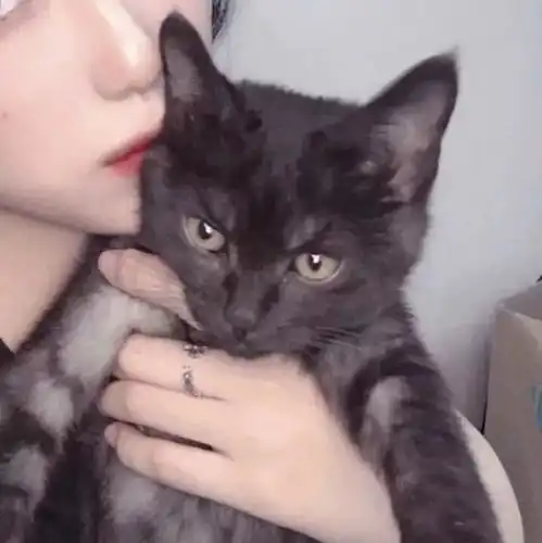  对象不是人情头