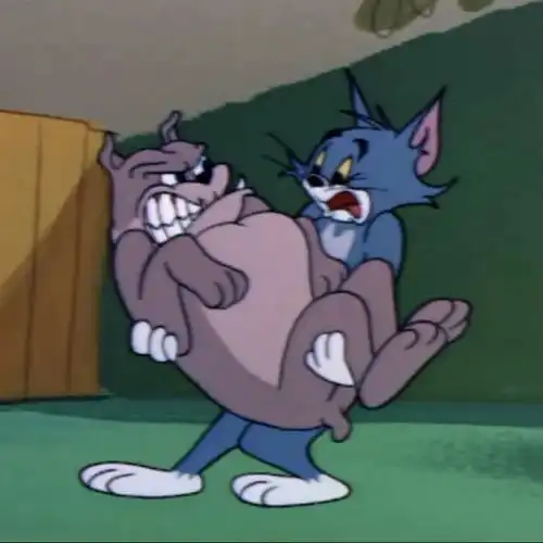  头像猫和老鼠系列