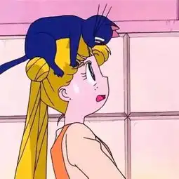  这个冬天没有惊喜没有温度没有关系