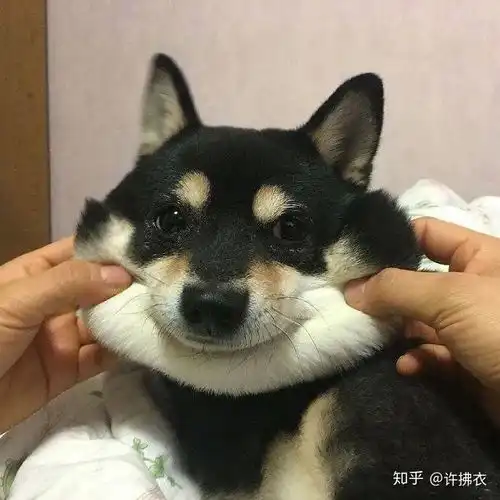  那些三观很正并且温柔的文案