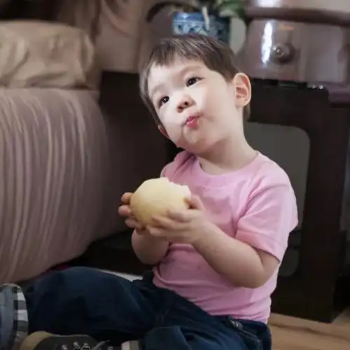  萌娃再聚首嗯哼jasper相约吃大饼,照片中的宠物却成了亮点