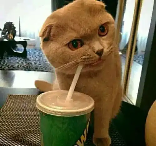  头像我变得再好,你也已经不在了