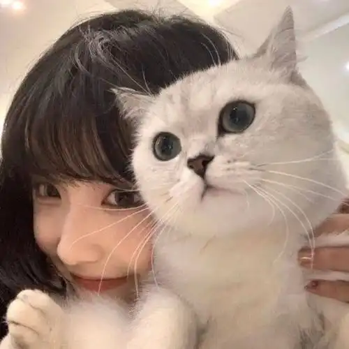  发财头像微信头像女人招财转运微信头像图片成功人士用微信头像