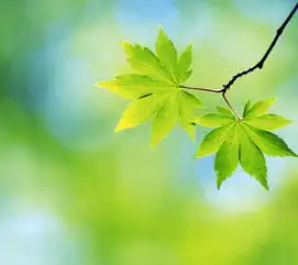  美文自己有时候,真的不是自己的