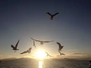  李小美在丽江等你