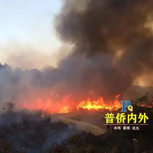 大型普侨发生一处山火,现场火势凶猛浓烟漫山