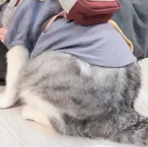  更新一波对象不是人的情侣头像