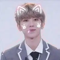  关于蔡徐坤粉丝的头像微信头像图片大全