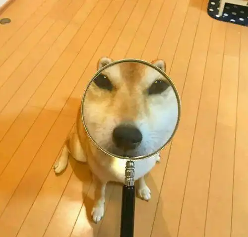  有哪些沙雕搞笑的头像