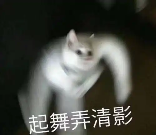春节南疆过年呀有一起的小伙伴嘛