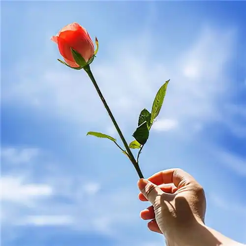  没有十全十美的爱人,但有让自己舒服和喜欢之人