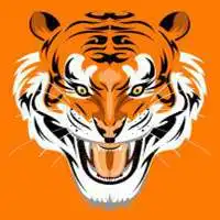  老虎微信动态图片gif下载微信头像图片大全