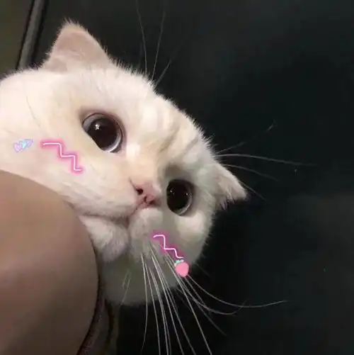  盛典倒计时1天丨摩登兄弟刘宇宁你来听歌十周年主题曲天判燃情上线