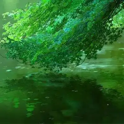  新海诚作品言叶之庭超唯美动漫头像