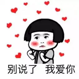  白银合瑞斯柯达