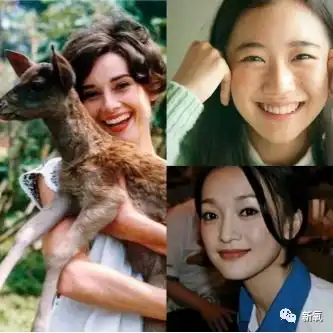  杨幂和范冰冰这样的狐系美人,在这个新斩男颜面前也彻底输了