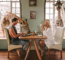  国外一对情侣辞职旅行,一张照片能卖6万