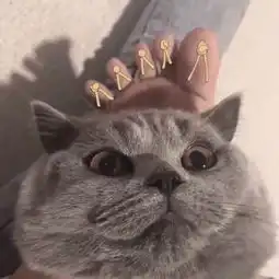  情头男头喜欢你怎会是临时起意,从来是蓄谋已久...