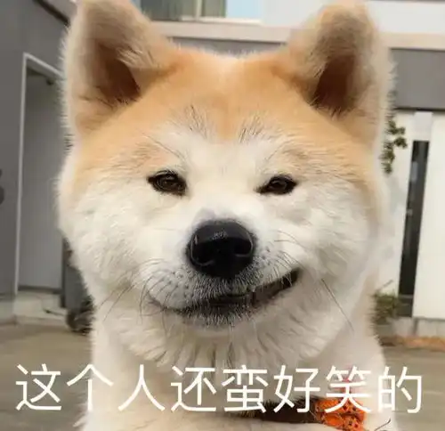  激情开贴,说说我关于对于张起灵来说吴邪是齐羽替身的看法