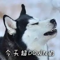  二哈搞笑图片表情带字哈士奇表情图片重磅来袭