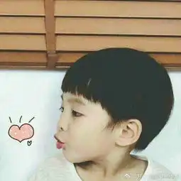  淑女西西视频直播全集淑女西西资料大全yy官方