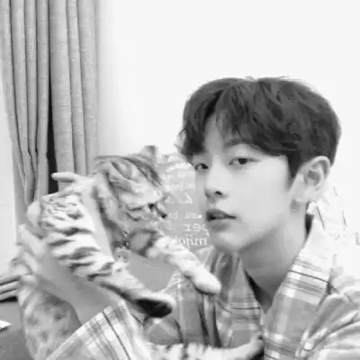  韩系男生黑白头像,好看帅气邻家小哥哥小清新的