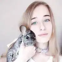  煞风景的人称之为虚伪