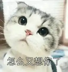  超甜的撒娇撩人表情包,情侣专用哦,赶快发给对象,甜到了吗