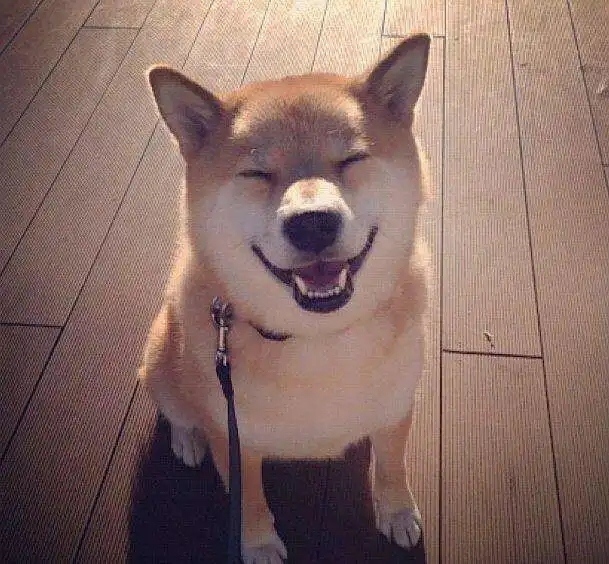  爆笑段子哥们到我家哭诉老子非得和那娘们儿离婚成龙