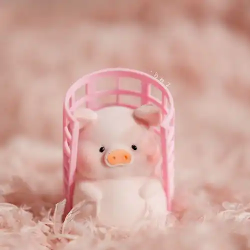  猪猪头像有人告诉我这世上没有比爱情复杂的东西了我一本数学书摔他脸上