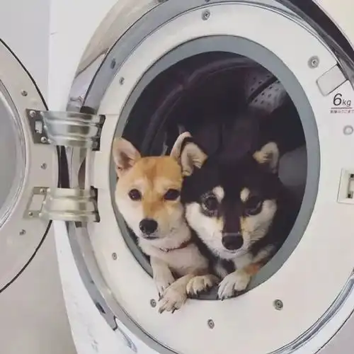  情侣头像精选