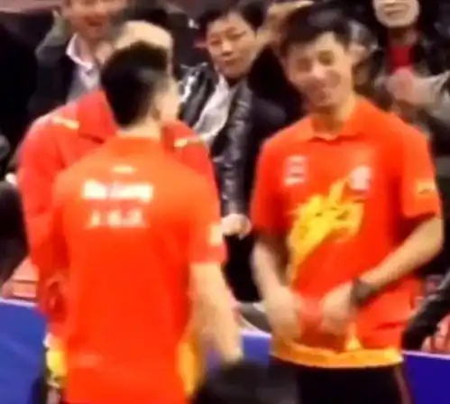 马龙和刘诗雯对决,张继科和许昕在一旁看热闹,多么美好的画面呀
