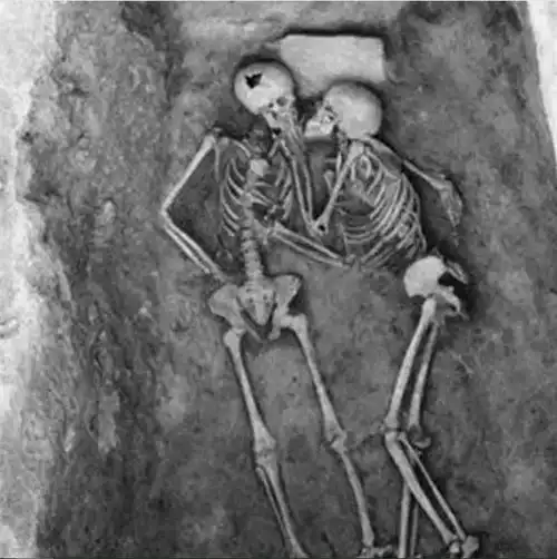  伊朗一对情侣躲进谷仓中拥吻,被发现时,已经吻了2800年