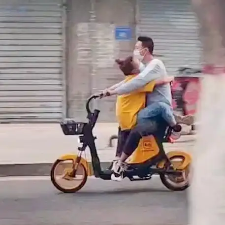  奇葩宁夏一对情侣面对面骑一辆车,路人吐槽只要浪漫不要命