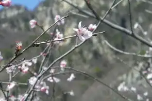  1000249.jpg,箭扣小布达拉正北楼慕田峪长城,风景图片,旅游景点图片旅行照片月下门网