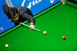  台球男子比利单打印度夺首金阿德瓦尼夺冠