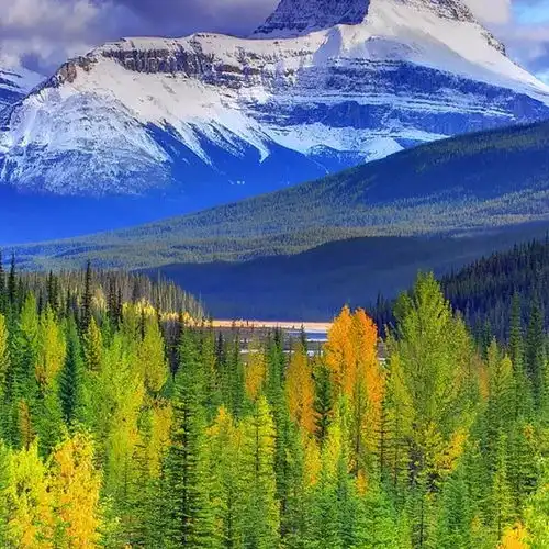  大学生四六级作文万能模板