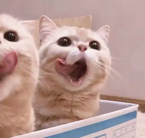  都忘了咱俩多久没说话了,也快忘了当初为什么有那么多话跟你说风筝