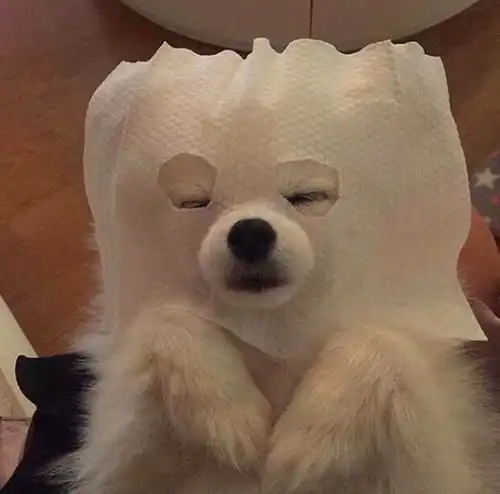  那些让女生充满安全感的小句子