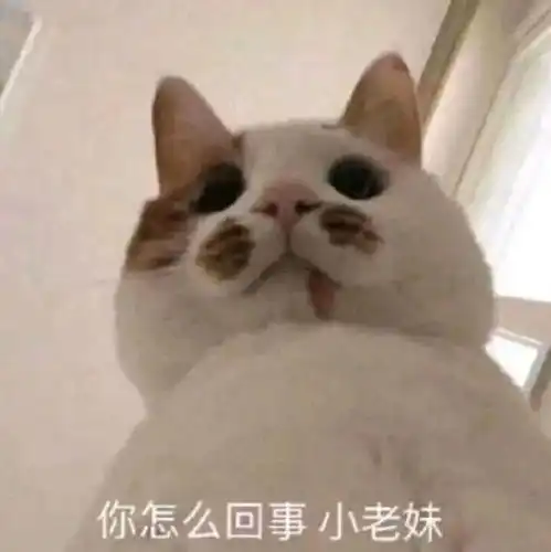 厦门鱼友曝光无良商家沙发坐垫甲醛爆表,还用一层海绵盖住伪装,多少人上当受骗