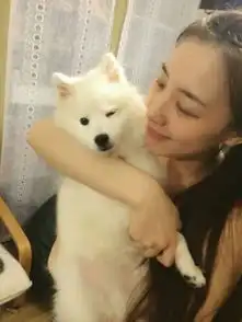  有没有那种一个女生和一个宠物的情侣头像