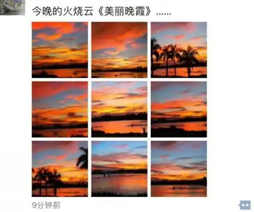 嗨青秀丨用33张照片,告别青秀的夏天