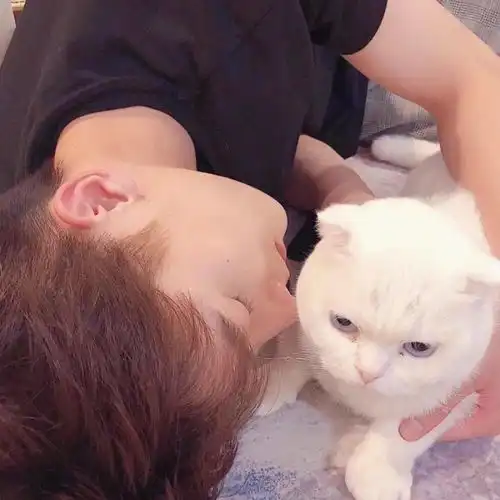  找个对象都有哪些好处