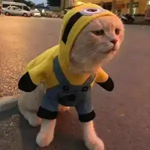  情侣头像最近抖音火的情侣头像,安静地相拥幸福的样子第173期