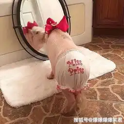  爆笑段子今天看到一对情侣,女的一直骂,男的一直保持微笑儿子