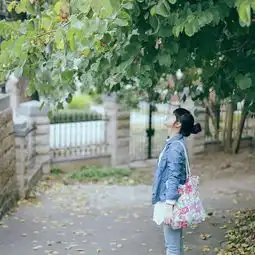  奔驰车提示cartoolow什么意思