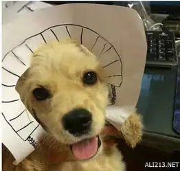  好白菜都让猪拱了囧图不带个两三万都不敢出门