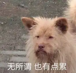  看来我要脱下裙子和你较量一翻了