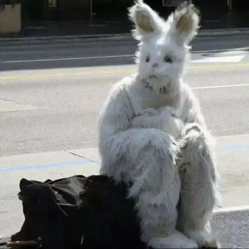  非常不错的微信头像找到了